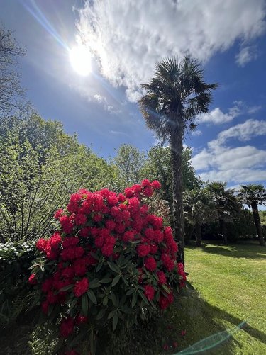 Maison a vendre Bénodet 29950 Finistère 75 m2 7 pièces 313500 euros