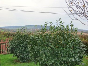 Maison a vendre Sainte-Marie-Outre-l'Eau 14380 Calvados 68 m2 3 pièces 69550 euros