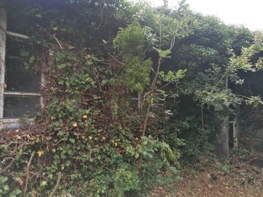 Maison a vendre Plouzévédé 29440 Finistère 30 m2 3 pièces 22400 euros