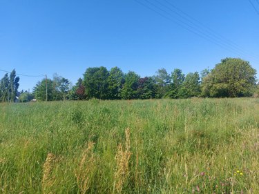 Terrain a batir a vendre Plouhinec 56680 Morbihan 692 m2  144400 euros