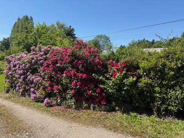Maison a vendre Saint-Aubin-du-Thenney 27270 Eure 209 m2 5 pièces 323400 euros