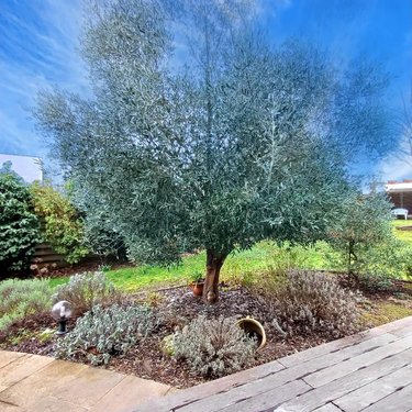 Maison a vendre Guidel 56520 Morbihan 133 m2 6 pièces 589950 euros