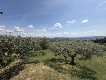 Maison a vendre Forcalquier 04300 Alpes-de-Haute-Provence 99 m2 5 pièces 725000 euros