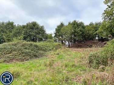 Terrains de loisirs bois etangs a vendre Montaudin 53220 Mayenne 2522 m2  13500 euros