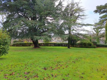 Maison a vendre Lannion 22300 Côtes-d'Armor 158 m2 7 pièces 467600 euros