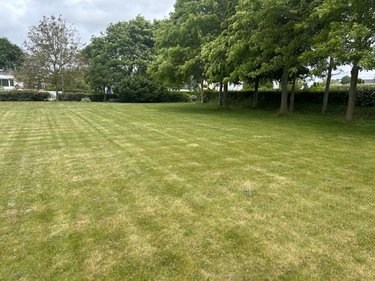 Terrain a batir a vendre Pommerit-le-Vicomte 22200 Côtes-d'Armor 730 m2  45024 euros