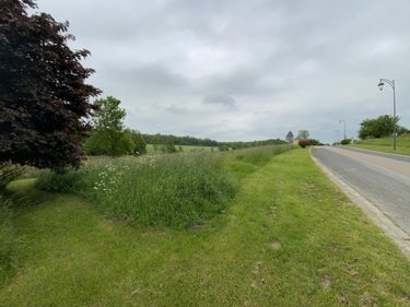 Terrain a batir a vendre Saint-Euphraise-et-Clairizet 51390 Marne 833 m2  110500 euros
