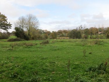 Maison a vendre Campagnolles 14500 Calvados 137 m2  48150 euros
