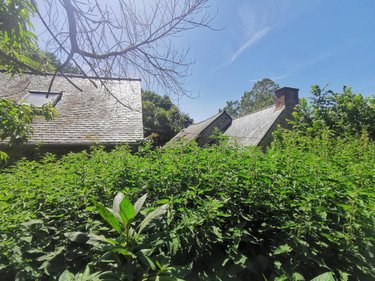 Maison a vendre Tréméven 22290 Côtes-d'Armor 120 m2  220500 euros