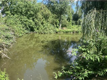 Terrains de loisirs bois etangs a vendre Parçay-sur-Vienne 37220 Indre-et-Loire 7760 m2  23600 euros
