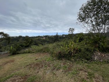 Terrain a batir a vendre Saint-Denis 97400 Réunion 2645 m2  573375 euros