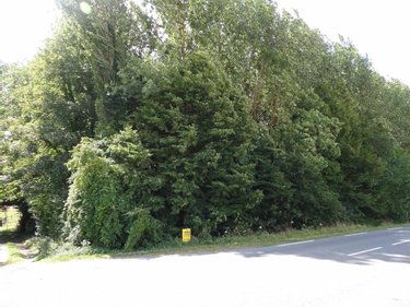 Terrains de loisirs bois etangs a vendre Diéval 62460 Pas-de-Calais 4103 m2  13000 euros