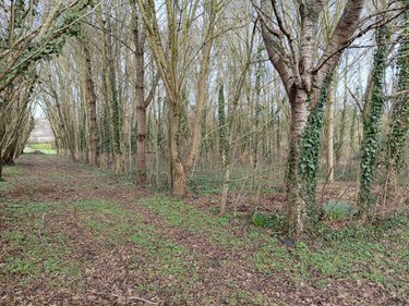 Maison a vendre Belforêt-en-Perche 61130 Orne 90 m2 5 pièces 129320 euros