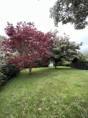 Maison a vendre Fouesnant 29170 Finistère 112 m2 6 pièces 543400 euros