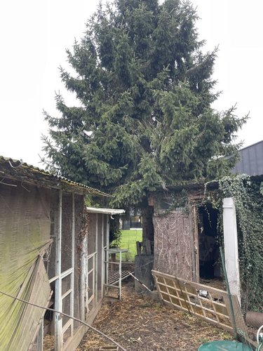 Maison a vendre Beaumont-sur-Sarthe 72170 Sarthe 45 m2 2 pièces 59816 euros