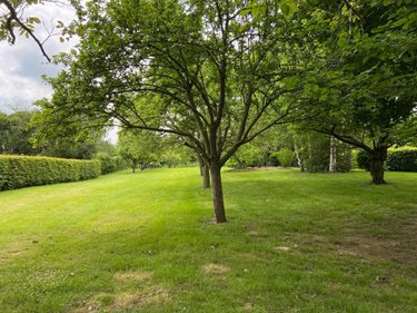Terrains de loisirs bois etangs a vendre Souvigné-sur-Même 72400 Sarthe 1988 m2  19080 euros