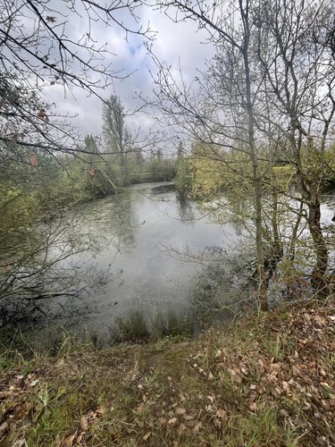 Terrains de loisirs bois etangs a vendre Parçay-sur-Vienne 37220 Indre-et-Loire 4780 m2  17100 euros