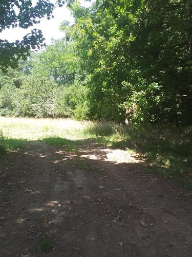 Maison a vendre Theix-Noyalo 56450 Morbihan 200 m2 4 pièces 207372 euros