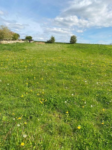 Terrain a batir a vendre Frévin-Capelle 62690 Pas-de-Calais 2979 m2  136840 euros