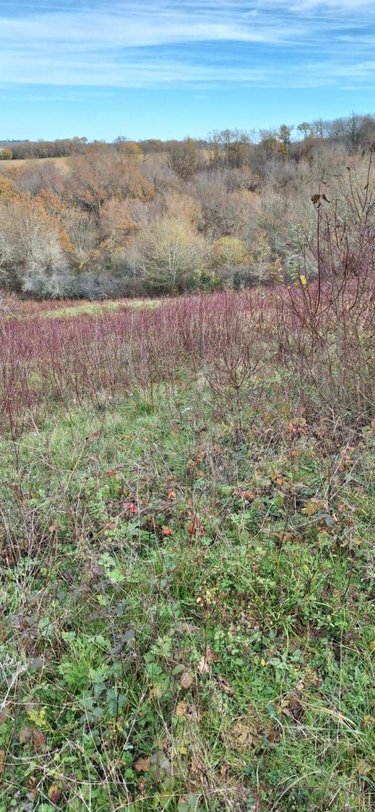 Terrains de loisirs bois etangs a vendre Peyrusse-Grande 32320 Gers 57740 m2  39500 euros