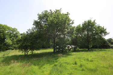 Maison a vendre Plonéis 29710 Finistère 143 m2 6 pièces 266250 euros