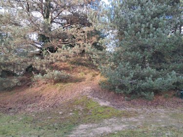 Maison a vendre Neufchâtel-Hardelot 62152 Pas-de-Calais 191 m2 7 pièces 856216 euros
