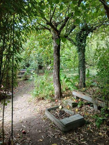 Terrains de loisirs bois etangs a vendre Mametz 62120 Pas-de-Calais 600 m2  17000 euros