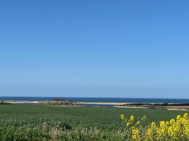 Maison a vendre Tréogat 29720 Finistère 230 m2 10 pièces 780000 euros