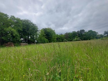 Terrain a batir a vendre Camors 56330 Morbihan 880 m2  78100 euros