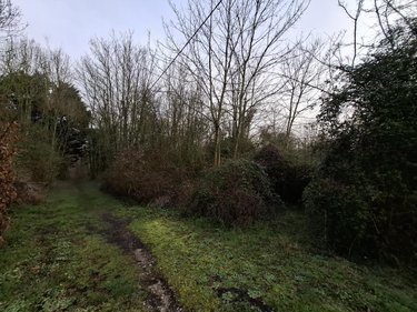 Terrains de loisirs bois etangs a vendre Ames 62190 Pas-de-Calais 1163 m2  28000 euros