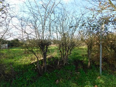 Terrain a batir a vendre Brissarthe 49330 Maine-et-Loire 805 m2  29865 euros