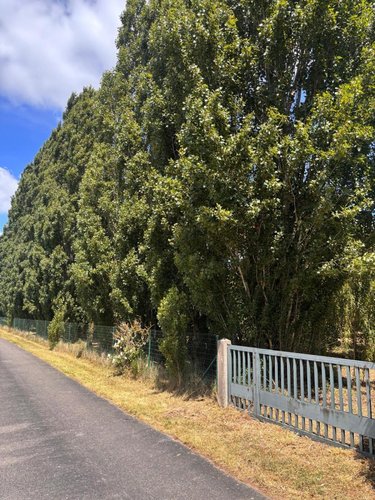 Terrain a batir a vendre Crouzilles 37220 Indre-et-Loire 2334 m2  33600 euros