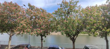 Maison a vendre Le Mans 72000 Sarthe 161 m2 8 pièces 289772 euros