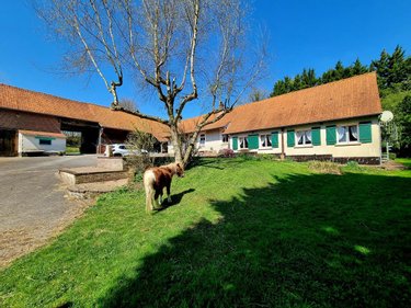 Maison a vendre Coupelle-Vieille 62310 Pas-de-Calais 187 m2 8 pièces 239780 euros