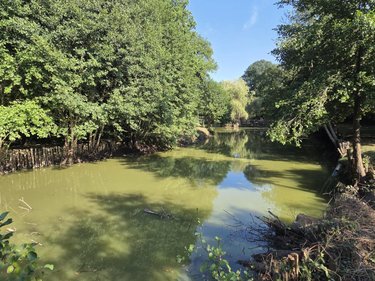 Divers a vendre Ruillé-Froid-Fonds 53170 Mayenne 11300 m2  85400 euros