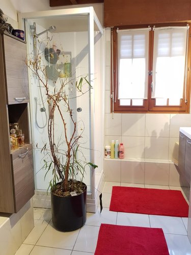 Maison a vendre Renty 62560 Pas-de-Calais 149 m2 8 pièces 381000 euros