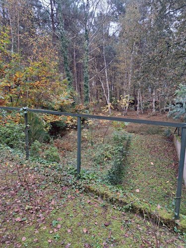 Terrains de loisirs bois etangs a vendre Arnage 72230 Sarthe 10000 m2  27000 euros