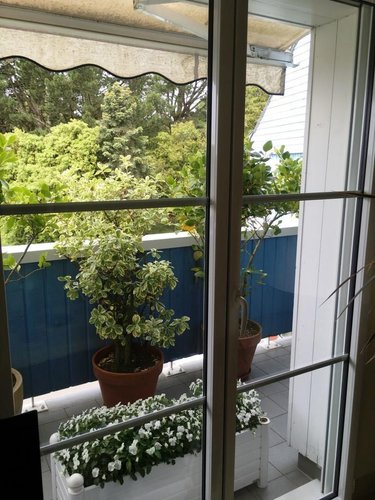 Appartement a vendre Sarzeau 56370 Morbihan 115 m2  518535 euros