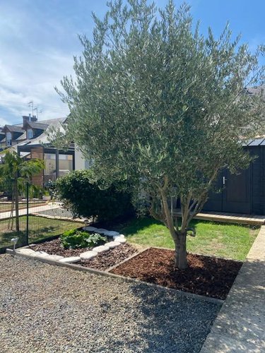 Maison a vendre Sainte-Jamme-sur-Sarthe 72380 Sarthe 54 m2 3 pièces 98148 euros