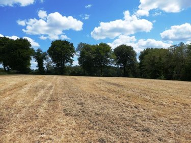 Maison a vendre Plouray 56770 Morbihan 700 m2 19 pièces 1098500 euros