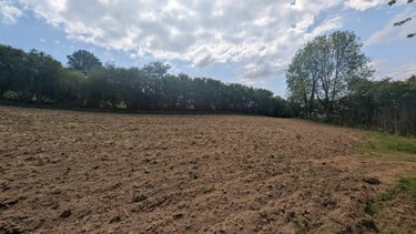 Terrains de loisirs bois etangs a vendre Rouffigny 50800 Manche 23575 m2  25375 euros