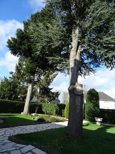 Maison a vendre L'Huisserie 53970 Mayenne 81 m2 4 pièces 157740 euros