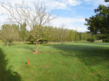 Terrain a batir a vendre Château-Gontier-sur-Mayenne 53200 Mayenne 1850 m2  129000 euros