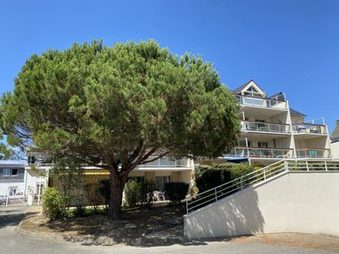 Appartement a vendre Quiberon 56170 Morbihan 41 m2 2 pièces 321000 euros