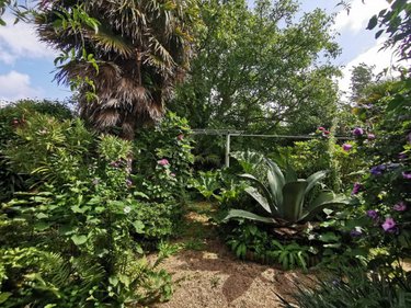 Maison a vendre Penvénan 22710 Côtes-d'Armor 99 m2 8 pièces 250000 euros