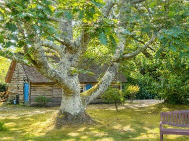 Maison a vendre Fouesnant 29170 Finistère 133 m2 6 pièces 1881000 euros