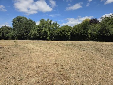 Terrain a batir a vendre Chemazé 53200 Mayenne 3600 m2  84000 euros