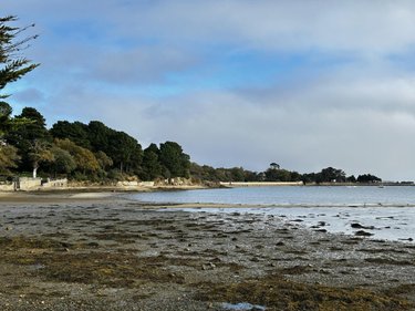 Maison a vendre Arradon 56610 Morbihan 152 m2  1475000 euros