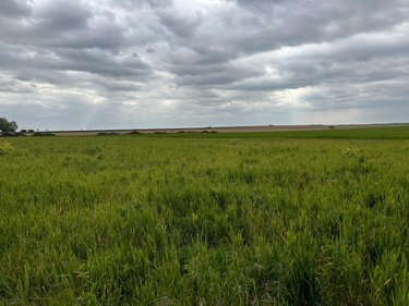 Terrain a batir a vendre Proyart 80340 Somme 924 m2  40000 euros
