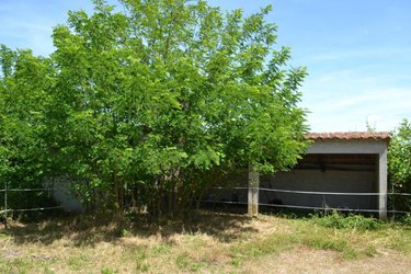 Maison a vendre Saint-Alban-Auriolles 07120 Ardèche 106 m2 6 pièces 199000 euros